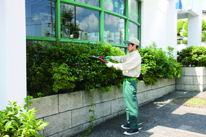 1-1　トゥルグリーン　剪定　イメージ.jpg